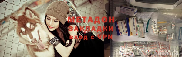 индика Арсеньев