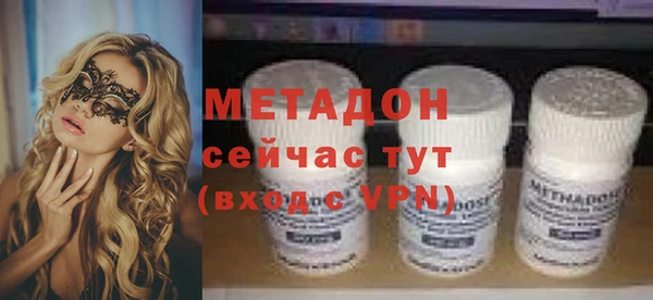 индика Арсеньев
