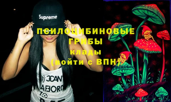 индика Арсеньев