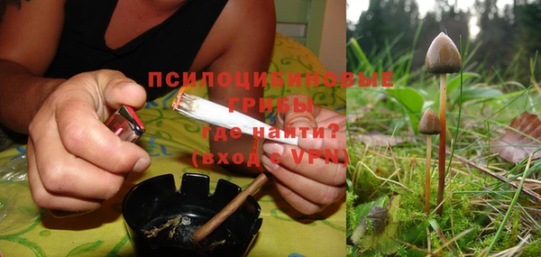 индика Арсеньев