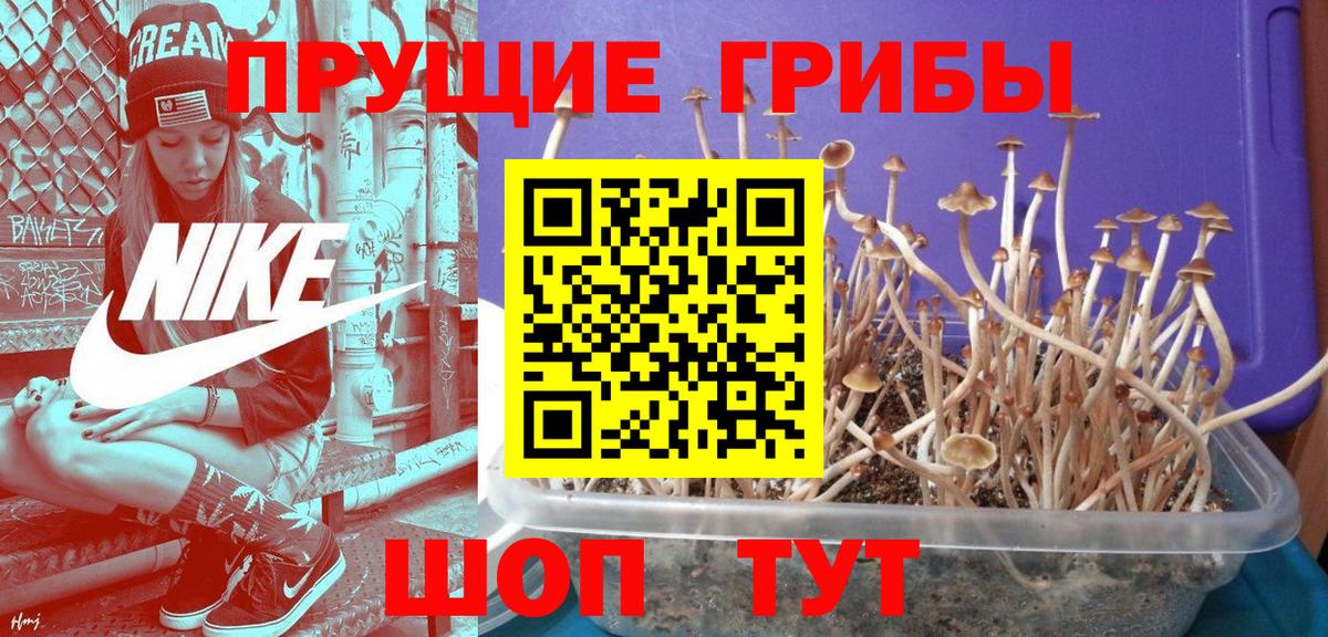 Псилоцибиновые грибы ЛСД  Вход с VPN  где можно купить   Краснотурьинск 
