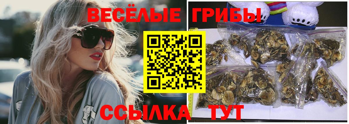 Псилоцибиновые грибы прущие грибы Краснотурьинск